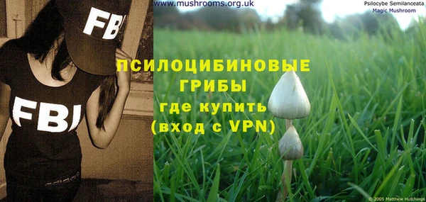 спайс Арсеньев