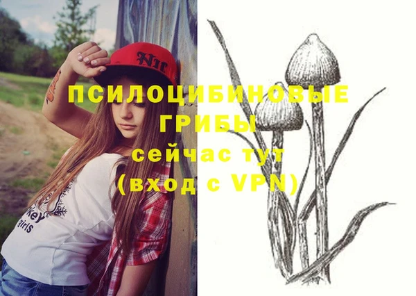спайс Арсеньев